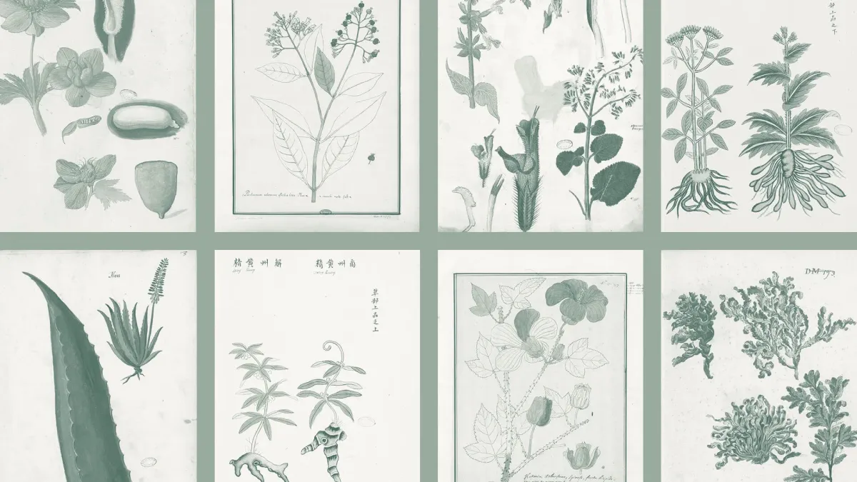 La collection botanique - Benjamin Delessert